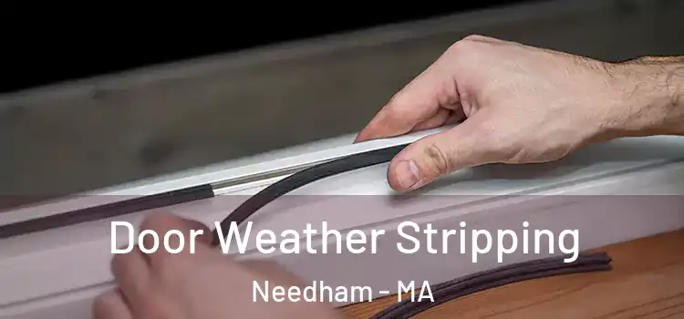 Door Weather Stripping Needham - MA