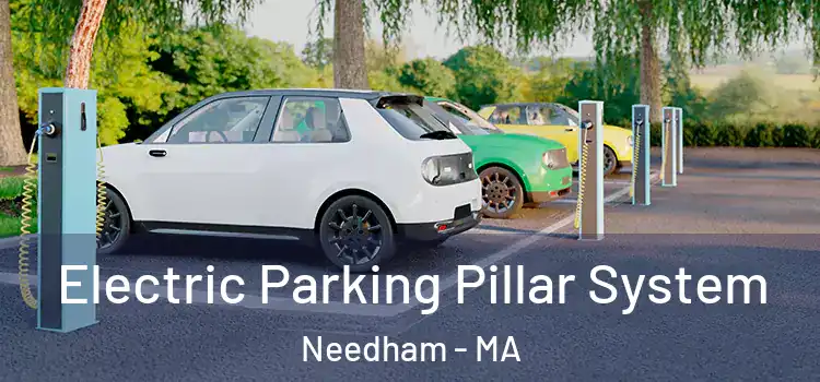  Electric Parking Pillar System Needham - MA