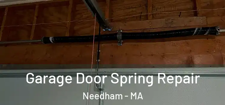  Garage Door Spring Repair Needham - MA