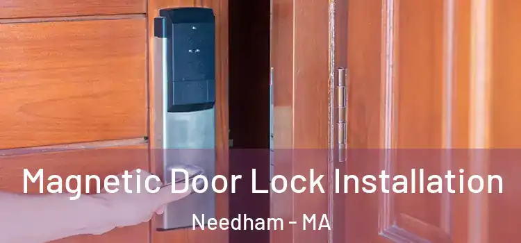 Magnetic Door Lock Installation Needham - MA