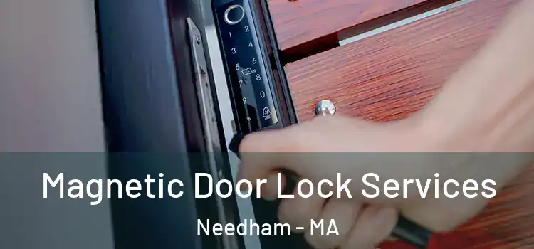 Magnetic Door Lock Services Needham - MA