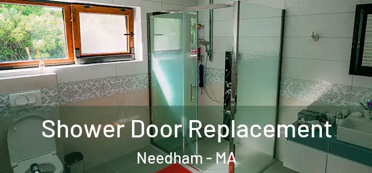  Shower Door Replacement Needham - MA