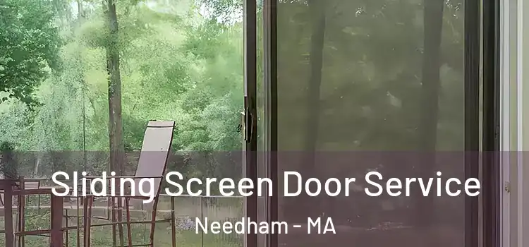 Sliding Screen Door Service Needham - MA